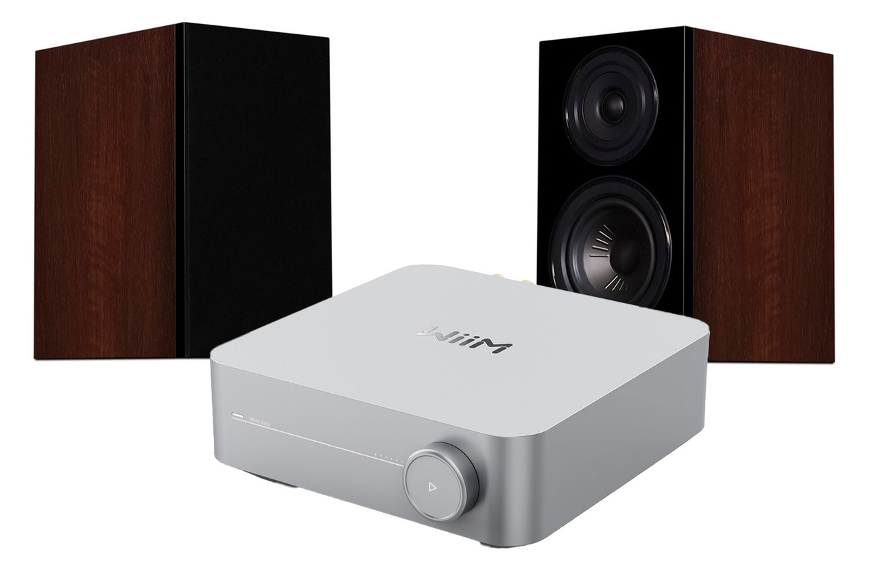 buy wiim-amp-passive-speakers